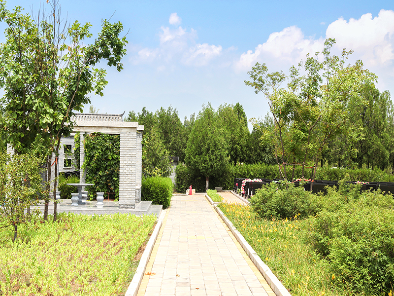 中华永久陵园怎么样（这里夏天温度低吗）